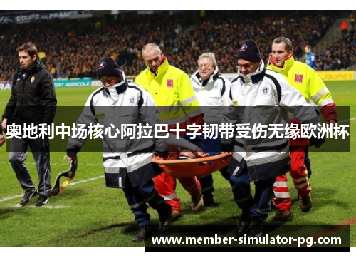 奥地利中场核心阿拉巴十字韧带受伤无缘欧洲杯