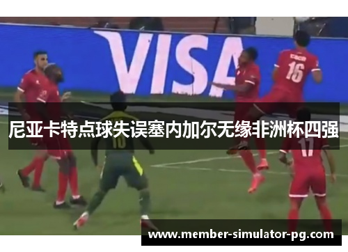 尼亚卡特点球失误塞内加尔无缘非洲杯四强 尼亚卡特点球失误塞内加尔无缘非洲杯四强