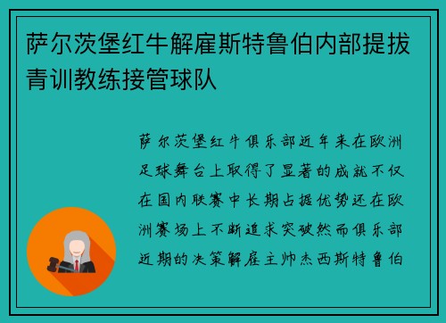 萨尔茨堡红牛解雇斯特鲁伯内部提拔青训教练接管球队